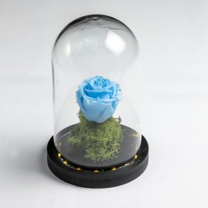 Light blue preserved rose in glass dome – Fresh Garden Ioannina