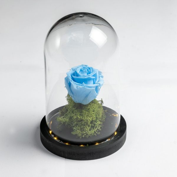 Light blue preserved rose in glass dome – Fresh Garden Ioannina