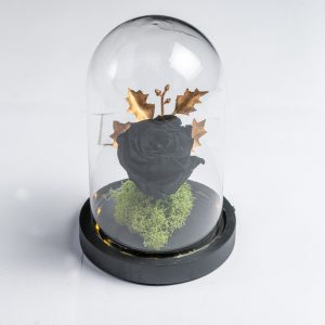 Black preserved rose with gold leaves in glass dome – Fresh Garden Ioannina