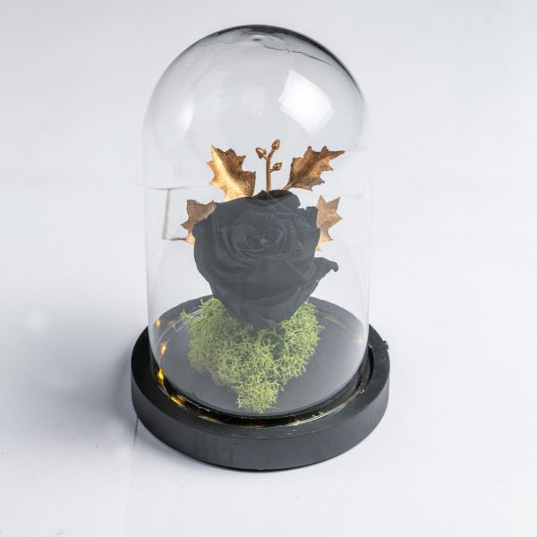 Black preserved rose with gold leaves in glass dome – Fresh Garden Ioannina