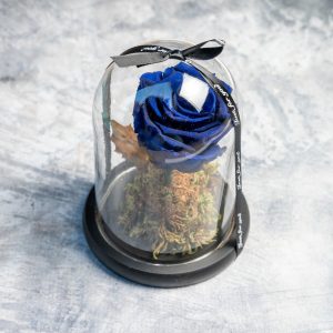 Royal blue preserved rose in glass dome with ribbon – Fresh Garden Ioannina