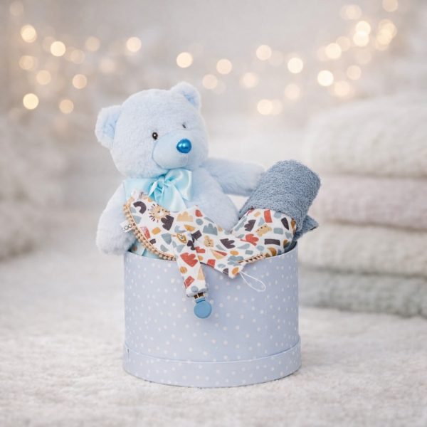 Premium μπλε gift box με αρκουδάκι, κουβερτούλα και κλιπ πιπίλας για παράδοση σε μαιευτήρια των Ιωαννίνων - ΠΓΝΙ Δουρούτης, Χατζηκώστα, Epicurus Clinic από το Fresh Garden