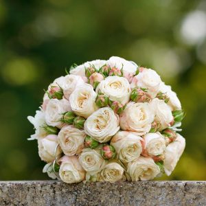 Πολυτελής νυφική ανθοδέσμη με κρεμ spray roses και μπουμπούκια για γάμο στο Μέτσοβο από το Fresh Garden.