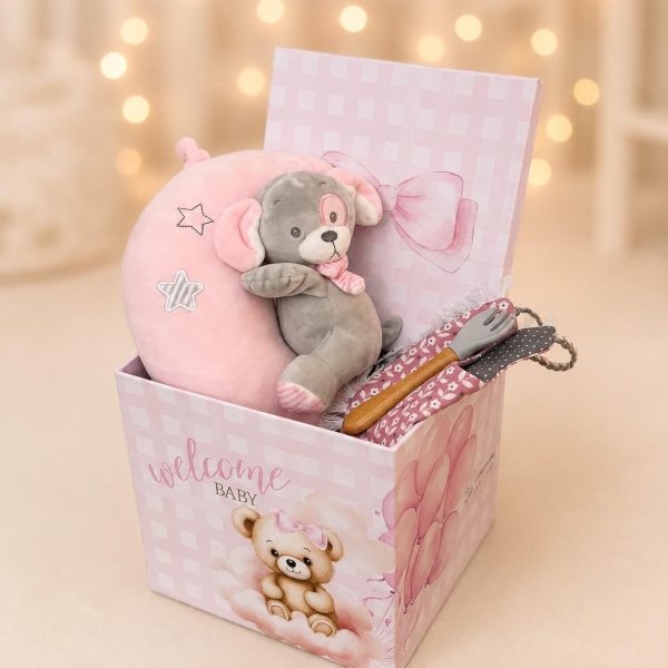 Moonlight Melody Welcome Box Moonlight Melody Welcome Box με μουσικό λούτρινο φεγγαράκι, χειροποίητη σαλιάρα και κουταλάκι σιλικόνης για νεογέννητο κορίτσι από Fresh Garden στα Ιωάννινα