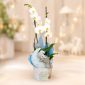 Moonlight Orchid Welcome Box με λευκή ορχιδέα Phalaenopsis και μουσικό λούτρινο φεγγαράκι για νεογέννητο αγόρι από το Fresh Garden - σχέδιο καπελιέρας Hot Air Balloon