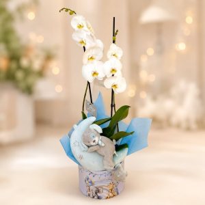 Moonlight Orchid Welcome Box με λευκή ορχιδέα Phalaenopsis και μουσικό λούτρινο φεγγαράκι για νεογέννητο αγόρι - σχέδιο καπελιέρας Safari Friends
